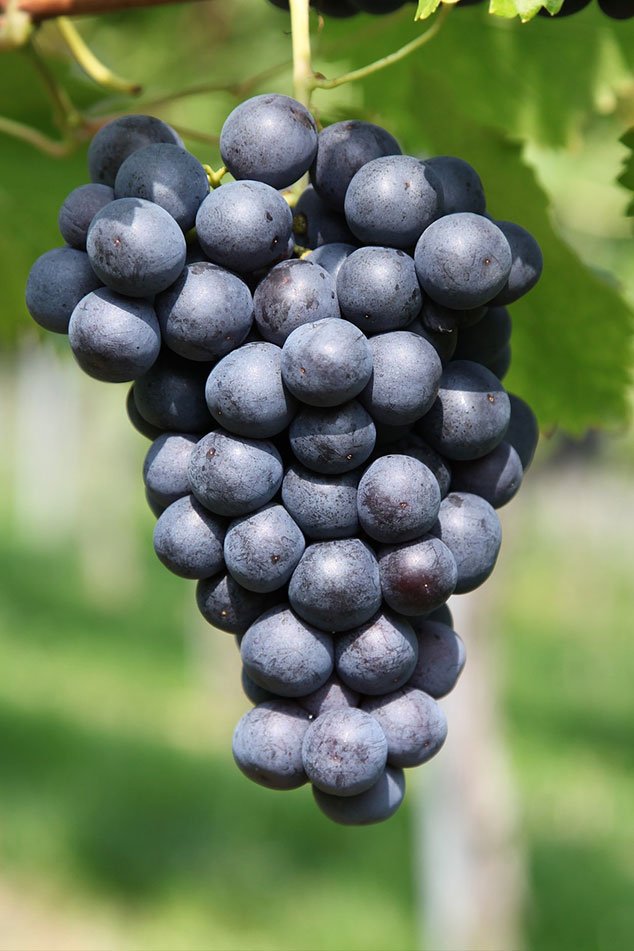 Shop by Category Image 02